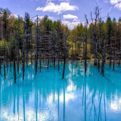 Пазл: Голубой пруд 