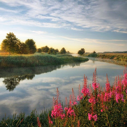 Пазл: Родные просторы