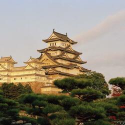 Пазл: Замок Белой цапли