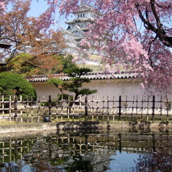 Пазл: Замок Белой цапли