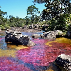 Пазл: Самая чистая и красивая река на Земле