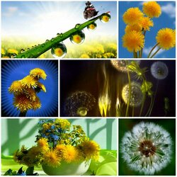 Пазл: Весенний день