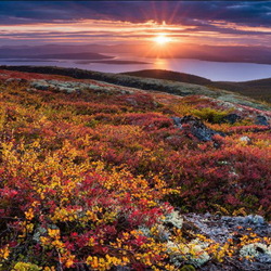 Пазл: Закат