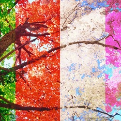 Пазл: Времена года