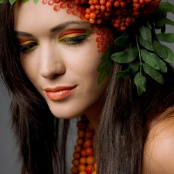 Пазл: Рябина