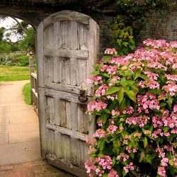 Пазл: Калитка