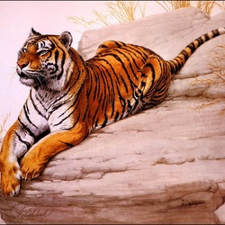 Пазл: Тигр