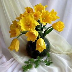 Пазл: Желтые тюльпаны