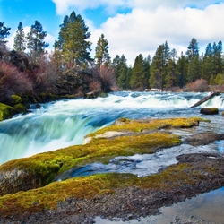 Пазл: Речной поток