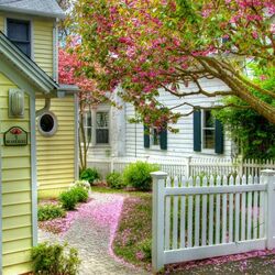 Пазл: Дом № 5