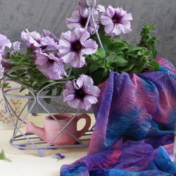 Пазл: Петунии