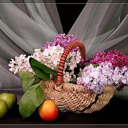 Пазл: Сирень