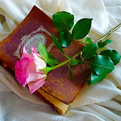 Пазл: Маленькие путешествия