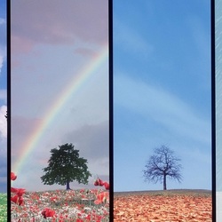 Пазл: Сменяющиеся сезоны