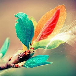 Пазл: Разноцветье