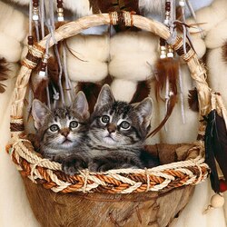 Пазл: Ловцы снов