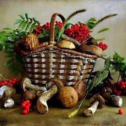 Пазл: Грибной натюрморт