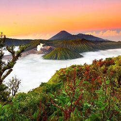 Пазл: Красоты природы