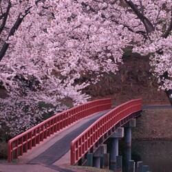Пазл: Мостик в китайском саду