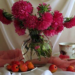 Пазл: Астры