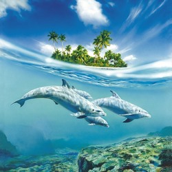 Пазл: Дельфины