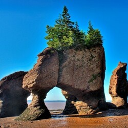 Пазл: Природное чудо скалы Хоупвелл
