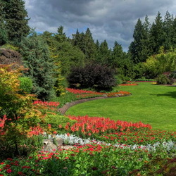 Пазл: Цветы в лесу