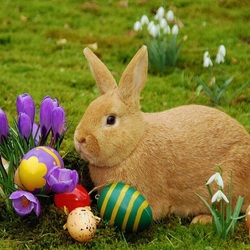 Пазл: Пасхальный кролик