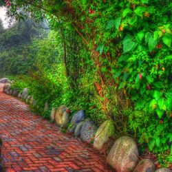 Пазл: Дорожка из красного кирпича