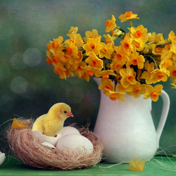 Пазл: Вылупился