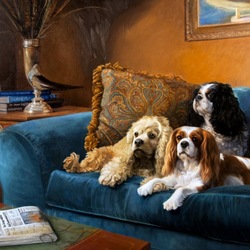 Пазл: Три собаки на диване