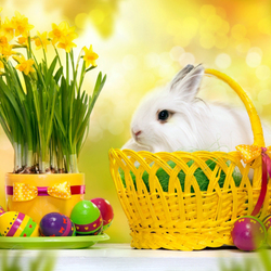 Пазл: Пасхальный кролик