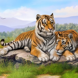 Пазл: Тигры 