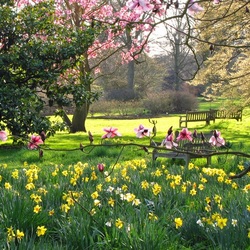 Пазл: Тёплый денёк