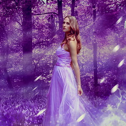 Пазл: В очарованном лесу