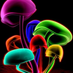 Пазл: Грибочки