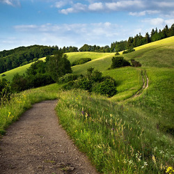 Пазл: В полях