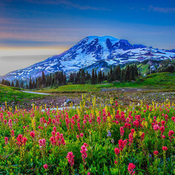 Пазл: В горах