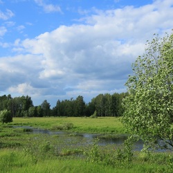 Пазл: Зелёное лето