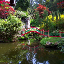 Пазл:  Графство Стаффордшир