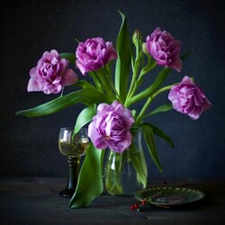 Пазл: Тюльпаны