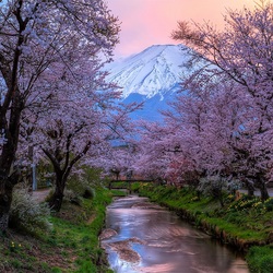 Пазл: Весенний вечер