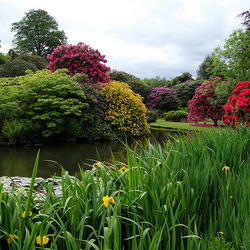 Пазл: Biddulph Grange Garden, Графство Стаффордшир