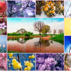 Пазл: Весна