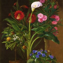 Пазлы на тему «Louise Garlieb»