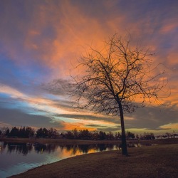 Пазл: Вечер