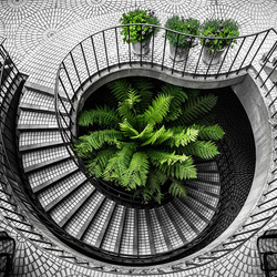 Пазл: Лестница