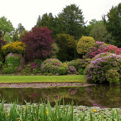 Пазл: Графство Стаффордшир, Англия