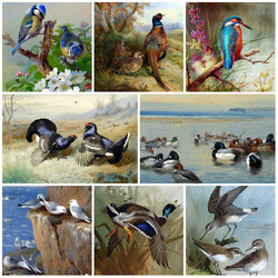 Пазл: В мире птиц