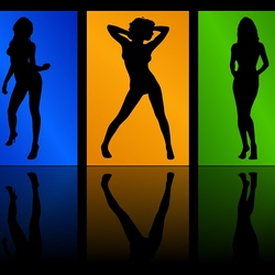 Пазл: Силуэт